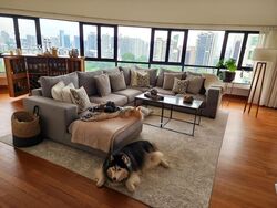 The Draycott (D10), Apartment #471353451